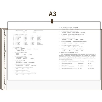 DELI Джоб с перфорация Deli 72616, хоризонтален (11007147)