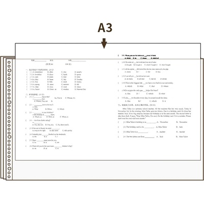 DELI Джоб с перфорация Deli 72616, хоризонтален (11007147)