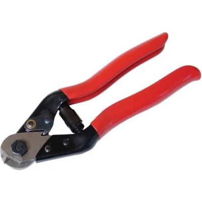 Festa 17029