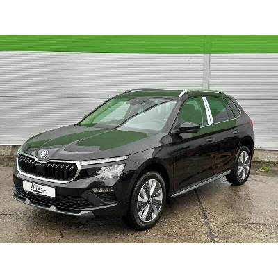 Skoda Kamiq DSG 110 kW
