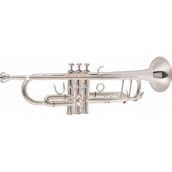 Bacio Instruments BTR-100S