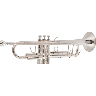 Bacio Instruments BTR-100S – Hledejceny.cz