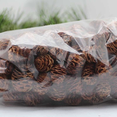 Strictum cone loose 500g