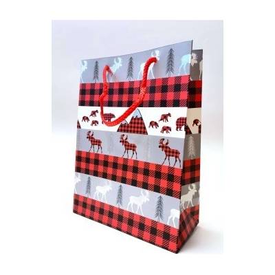 BAT1196 Dárková taška 18x24x8 cm