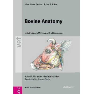 Bovine Anatomy - Budras, Klaus-Dieter