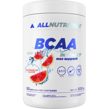 Image 1 of ALLNUTRITION BCAA Max Support | Instant [500 грама] Диня