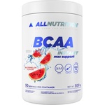 ALLNUTRITION BCAA Max Support | Instant [500 грама] Диня