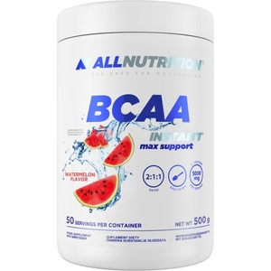 ALLNUTRITION BCAA Max Support | Instant [500 грама] Диня