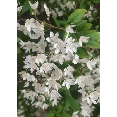GREENBOSS FLOWER Trojpuk něžný 2l