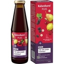 Rabenhorst Eisen plus šťava 450 ml