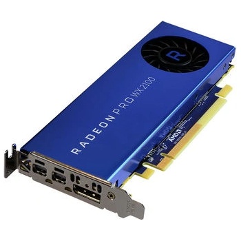 AMD Radeon Pro WX 2100 2GB 100-506001