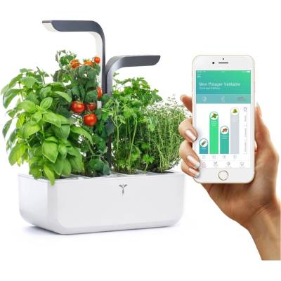 Véritable Домашна градина Veritable - Connect, Bluetooth, 9.5 W, бял-графит (VPOT-BAWIG-A-11)