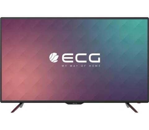 ECG 50 F02T2S2
