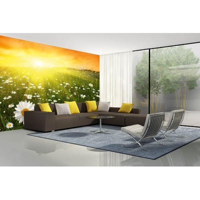 DIMEX ART Самозалепваща се флизелинова фототапета поле при залез слънце 375 x 250 см