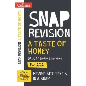 Taste of Honey AQA GCSE 9-1 English Literature Text Guide | Collins GCSE (ISBN: 9780008520328)