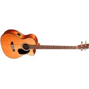 Sigma Guitars BMC-1STE
