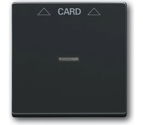 ABB Future linear Solo 2CKA001710A3639