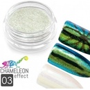 Allepaznokcie chameleon ekekt pigment