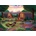 Falcon - Puzzle Glamping - 1 000 piese
