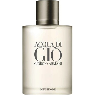 Giorgio Armani Acqua di Giò toaletní voda pánská 100 ml – Zboží Dáma