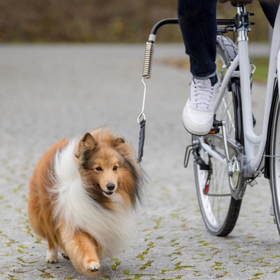 Trixie dog vodiace set na bicykel 2,5cm/1-2m