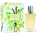 Jeanne Arthes La Ronde des Fleurs - Vanille Tropicale EDP 30 ml