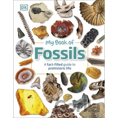 My Book of Fossils DK