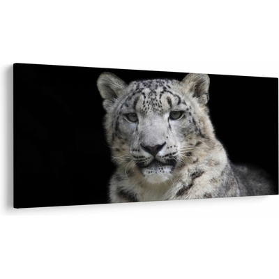 Obraz - Leopard snežný, jednodielne 200x100 cm