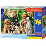 Castorland - Puzzle Puppies, Laundry and Bird Antics - 100 piese