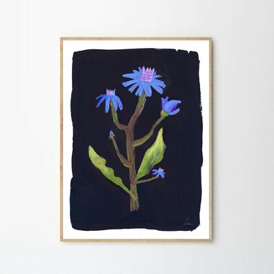 Moikka Plagát Night Flower by Clara Schicketanz 50x70 cm
