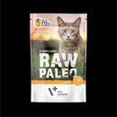 Raw Paleo Sterilised Cat Turkey 100 g