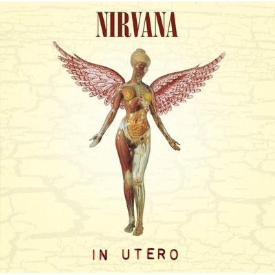 Nirvana - In Utero - Limited Super Deluxe Vinyl Edition LP