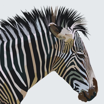 Vymalujsisam Maľovanie podľa čísiel Kubistická zebra