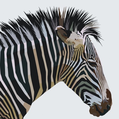 Vymalujsisam Maľovanie podľa čísiel Kubistická zebra