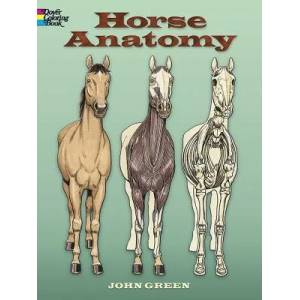 Horse Anatomy Coloring Book | John Green (ISBN: 9780486448138)
