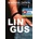 Lingus