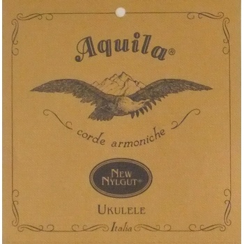 Aquila 21U