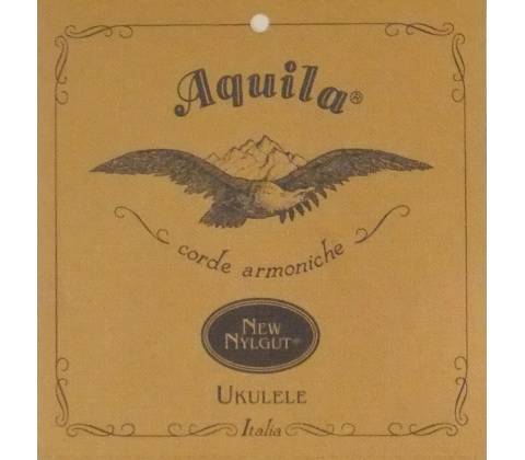 Aquila 21U
