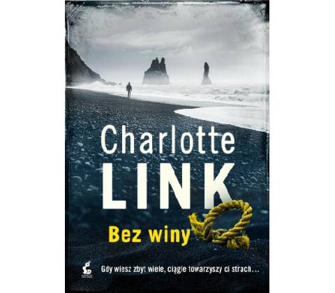 Bez winy