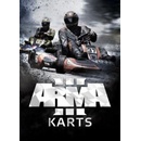 Hry na PC Arma 3 Karts