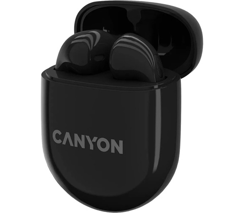 Canyon CNS-TWS6