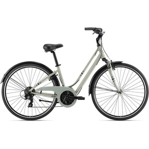 Giant Flourish FS 3 (2024) Велосипеди