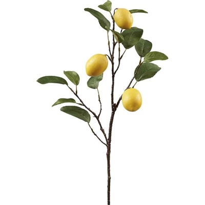 Florissima! Vetvička Citrónovník 95 cm - Florissima