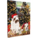 NATURE LAND pro hlodavce Adventní kalendář 360 g