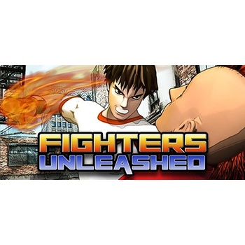 FLYNET STUDIOS Fighters Unleashed (PC)