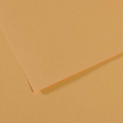 Canson Tónovaný papier Mi-Teintes 50 x 65 cm 160 g/m²Ustricová 340
