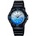 Casio LRW-200H-2EVDR