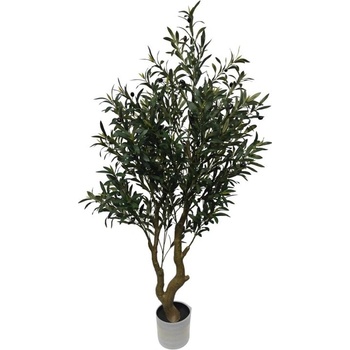 Bizzotto МАСЛИНОВО ДРЪВЧЕ В САКСИЯ h150 (0173148)