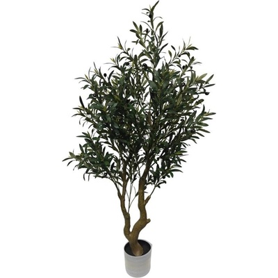 Bizzotto МАСЛИНОВО ДРЪВЧЕ В САКСИЯ h150 (0173148)