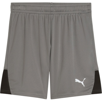 Puma teamLIGA26 Kids šedá